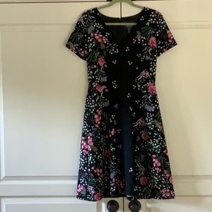 Adrianna Papell fit and flared knee length dress